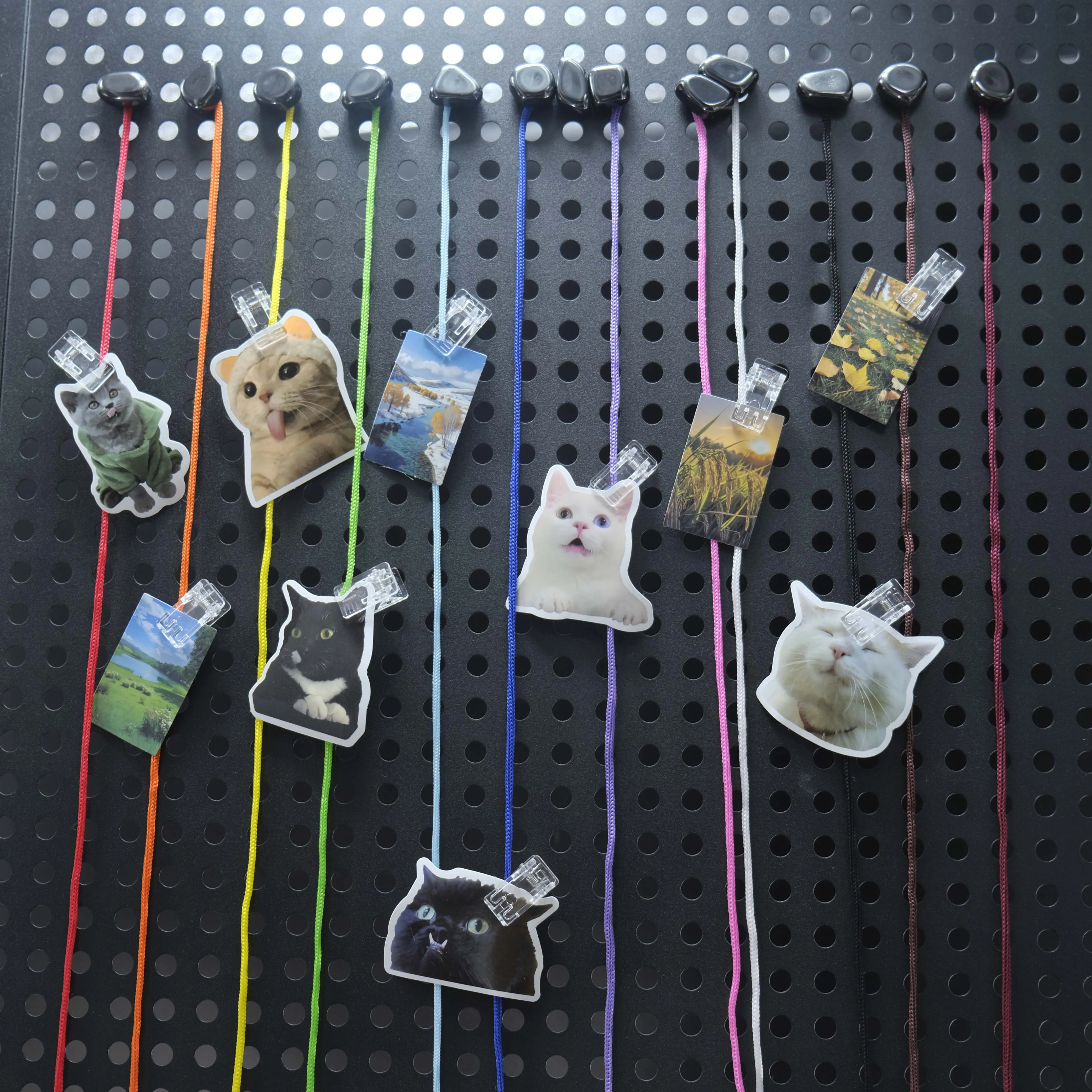 24-Piece Magnetic Clip Set Refrigerator Magnets for Crafts Office Fridge Organization Creative Home Decor