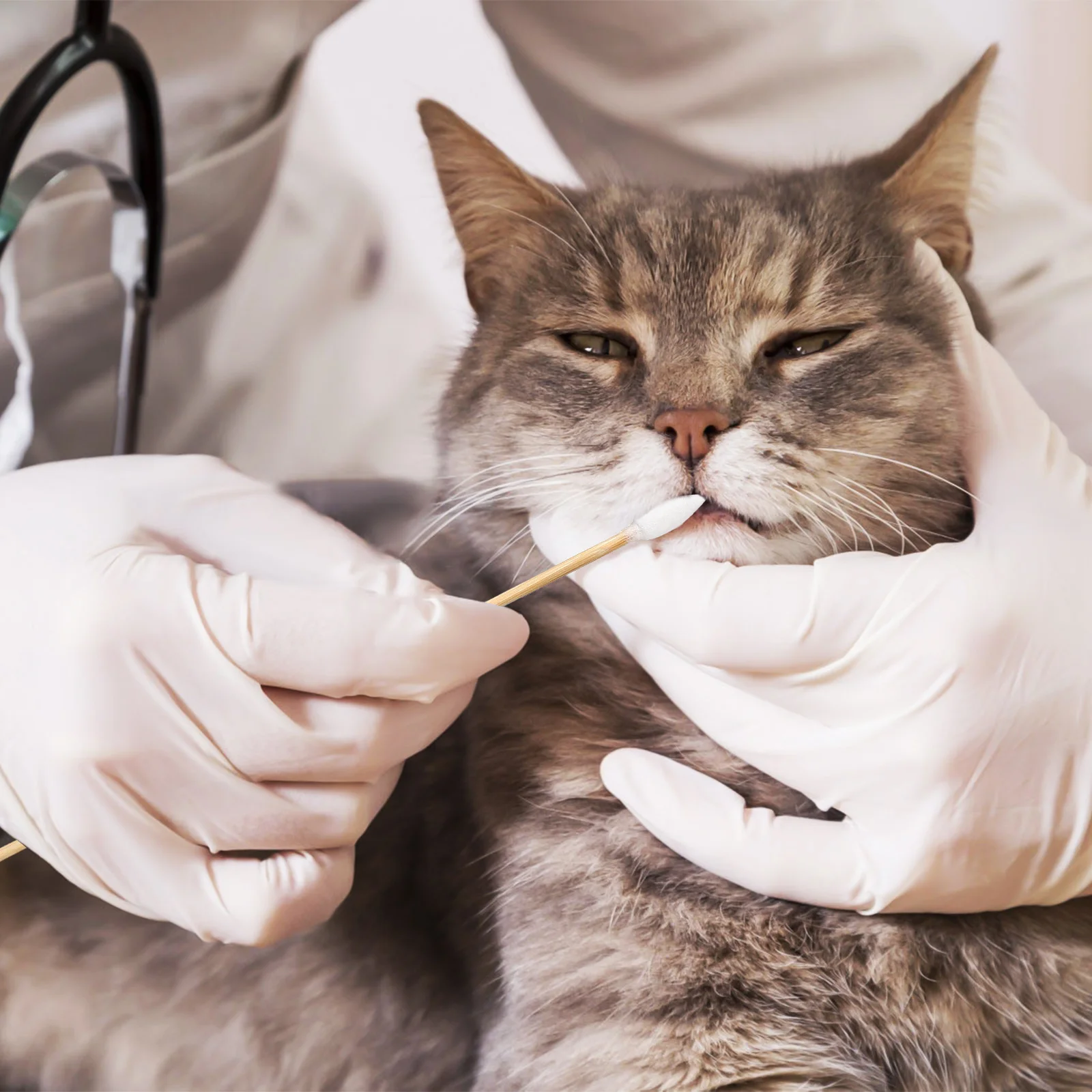 500 قطعة مسحات القطن الدقيقة طرف مدبب القطن الناعم للمكياج سماعة لوحة المفاتيح تنظيف مسحات ماكياج قضيب العصي #6