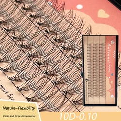 ANLINNET10D DIY Cluster Eyelash Extension Dovetail Segmented Eyelash 3 Rows Natural Segmented Eyelash Bundle Personal Eyelash