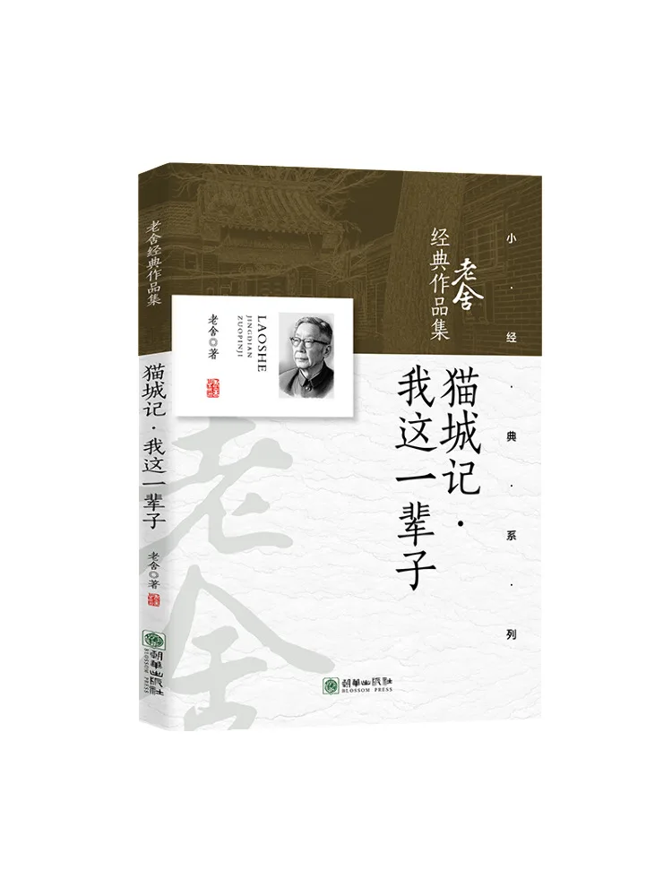 

Book-Winshare Cat City Story·my Whole Life