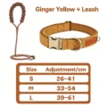 Yellow Set