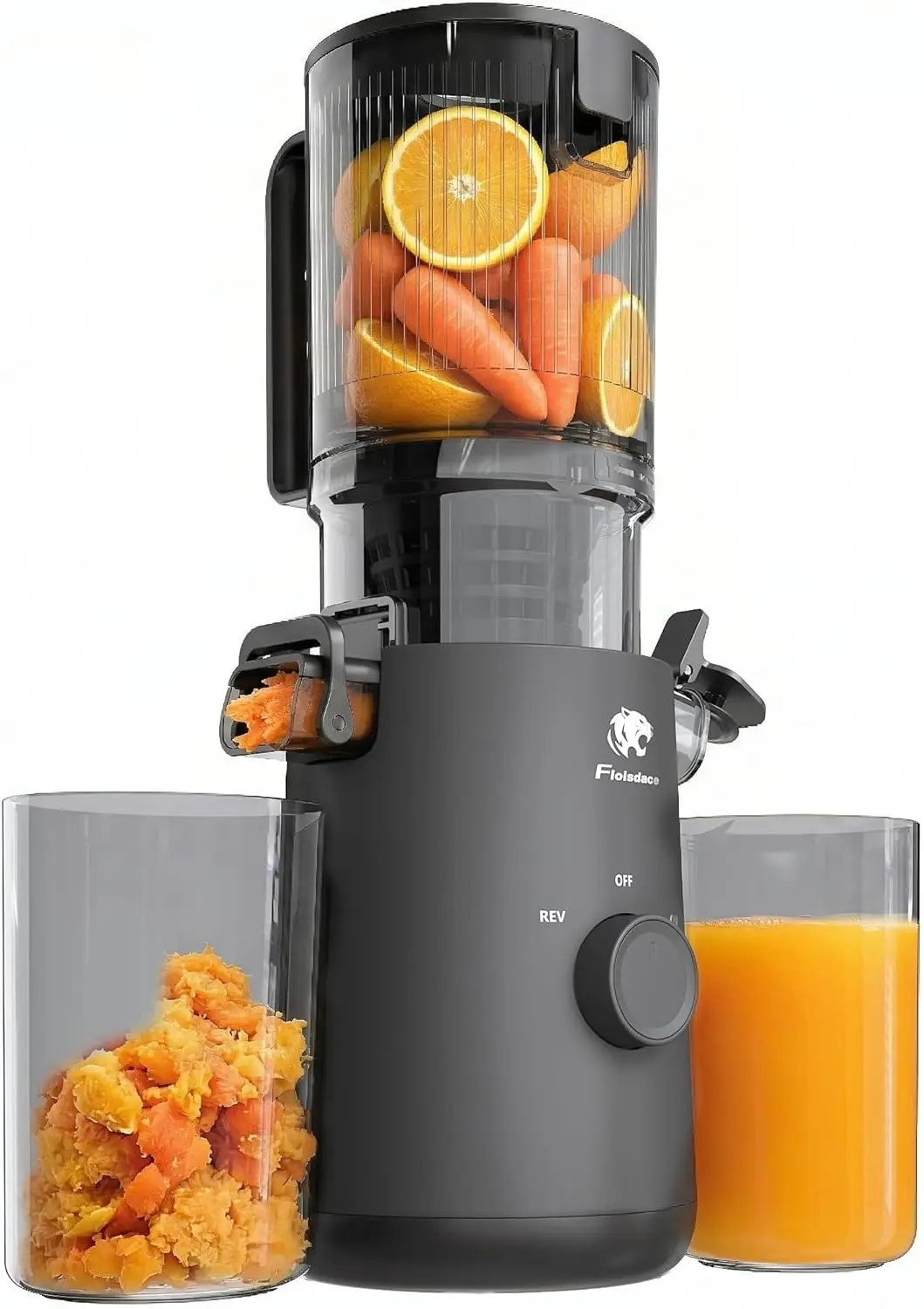 

Cold Press Juicer with Large Feed Chute, Powerful Motor for Whole Fruits & Vegetables, High Juice Yield, BPA-Free