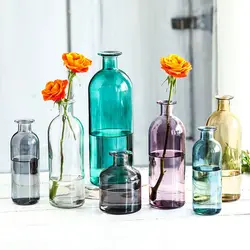 1 PCS Transparent Flower Vase Creative Hydroponic Plant Glass Bottle Nordic Style Flower Decoration For Gifts