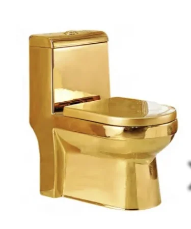 Modern One-Piece Golden Dual-Flush Sanitary Ware With S-Trap Bowl Floor Mounted Ceramic Toilet For Bathroom
