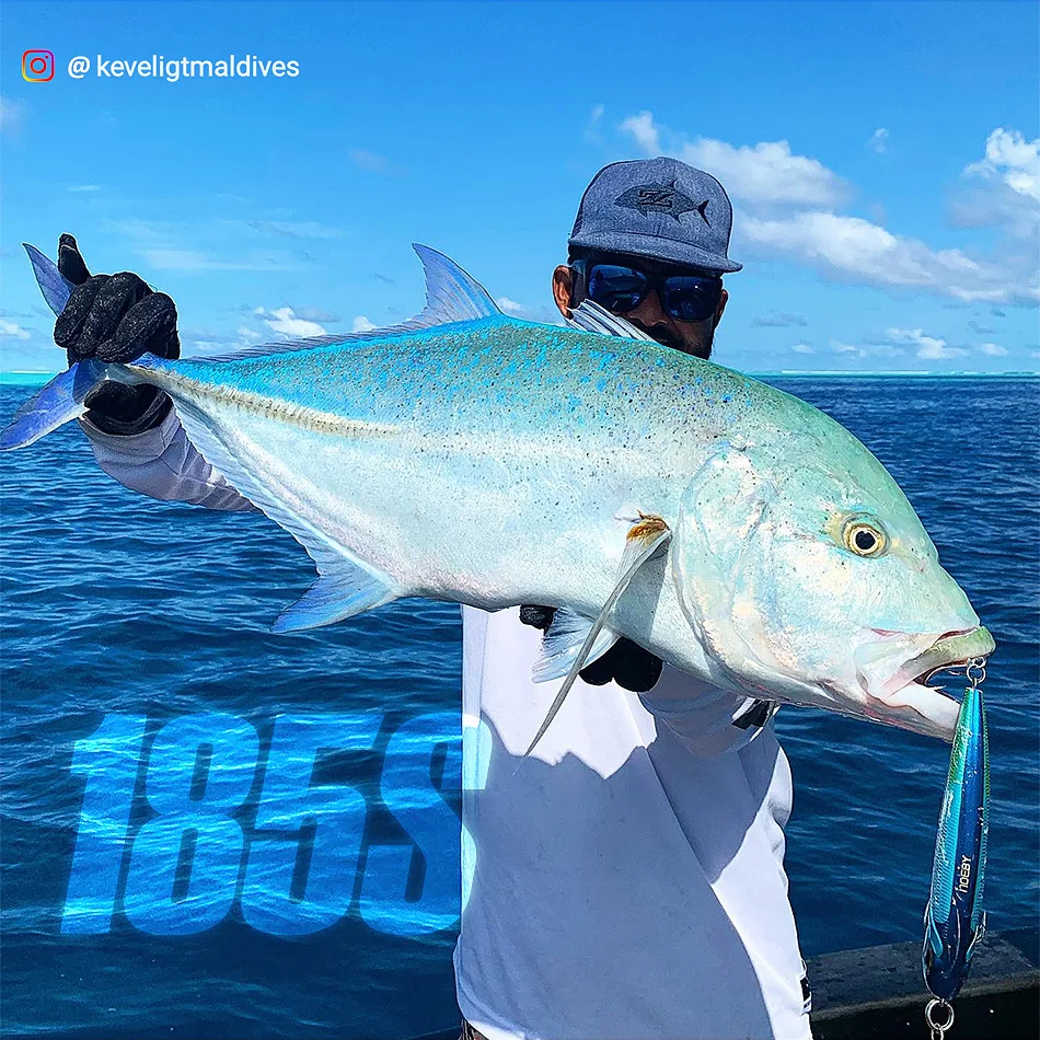 Noeby 115mm 60,5g 150mm 62g 185mm 126,5g Stickbait Sinking Bleistift Angeln Lockt Lange Casting künstliche Köder Meer Angeln Köder – Detail 12
