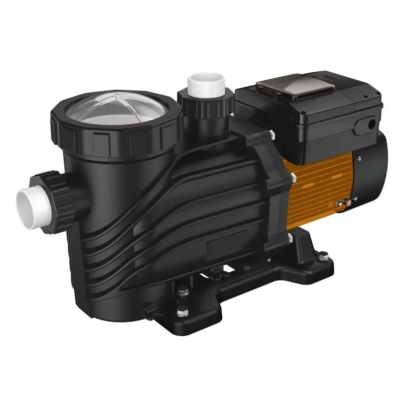1Hp Variable Frequency Synchronous Motor Silent Swimming Pool Electric Water Pump Energy Saving
