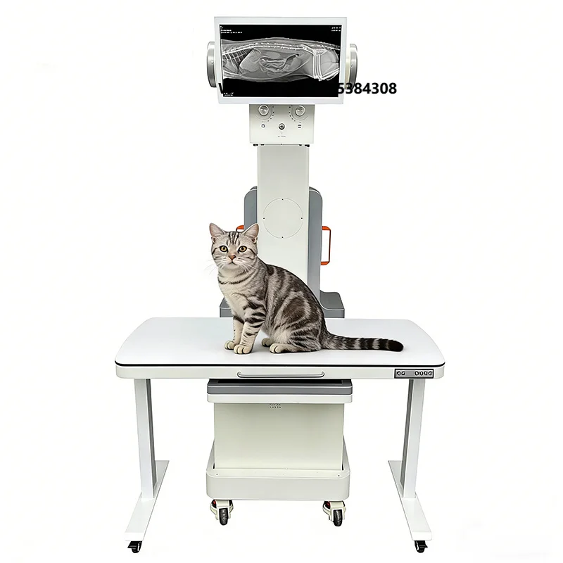 High-quality rotatable digital veterinary C-arm X-ray machine with flat plate detector, CE certified, Class II, 110V/220V