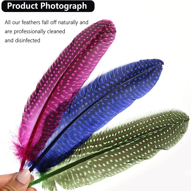 10 قطعة الجناح رصدت غينيا الطيور الدراج الدجاج الهندي الريش غطاء الرأس أعمدة لتقوم بها بنفسك اكسسوارات الشعر زينة الحرف الزفاف