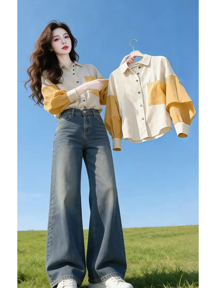 

Fashionable Commute Style Color Block Shirt Women's Loose Fit Long Sleeve Collar Lantern Sleeve Top for Spring 2026