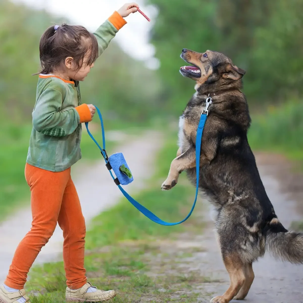 Dispensador de bolsas para excrementos de perro, bolsa de almacenamiento, productos para residuos de mascotas, portador, accesorios para caminar,