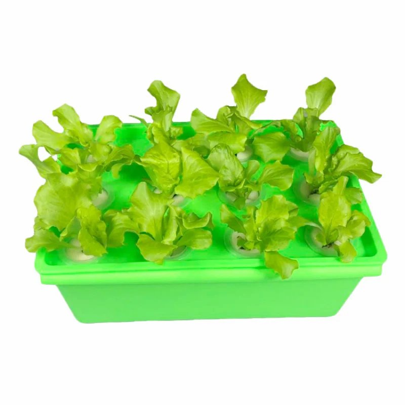 

Balcony plants, PlantersBox-type soilless hydroponic, Hydro veggies