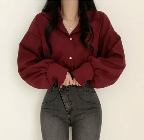 

Lapel career shirt for women design feel spring and fall plus-size with a base shirt