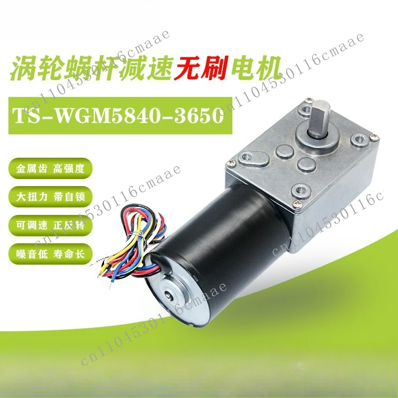 5840-3650 Brushless DC deceleration motor High torque low speed motor 12v24 worm gear