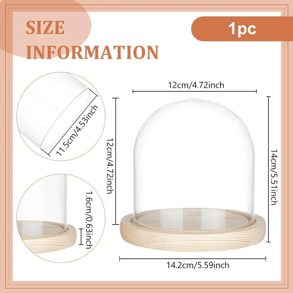 5x5 Inch Blanched Almond Glass Dome Cloche Wooden Display Dome, Clear Glass Cloche Bell Jar for DIY Flower Craft, Christmas