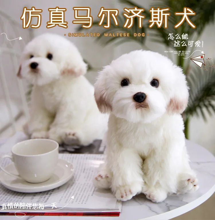 Cute Simulated Maltese dogs, exquisite home decoration dolls, plush toys for kids