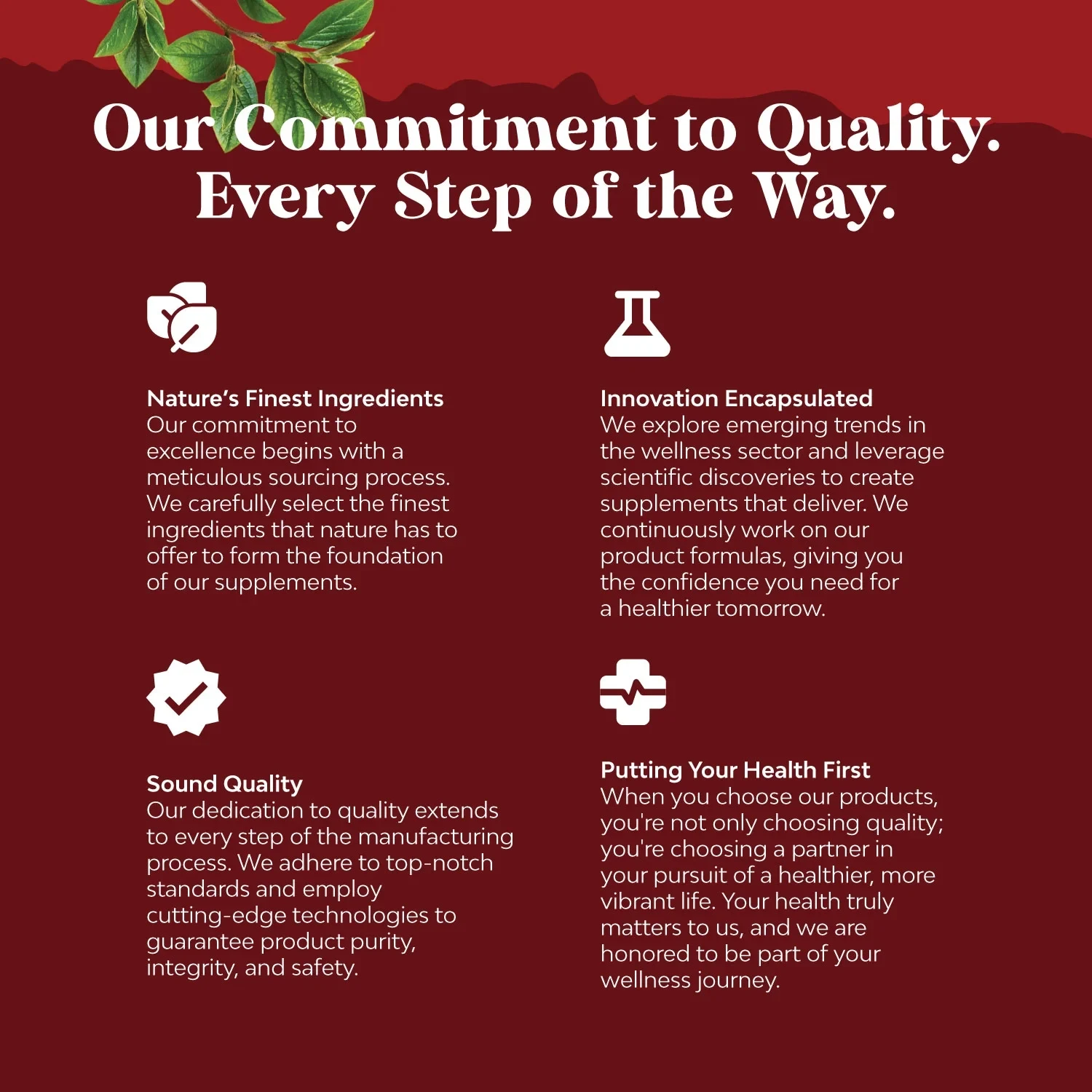 أرز الخميرة الحمراء + كبسولات مكملة CoQ10 - تعزز صحة القلب والدورة الدموية ومستويات الكوليسترول الصحية وتعزز الطاقة