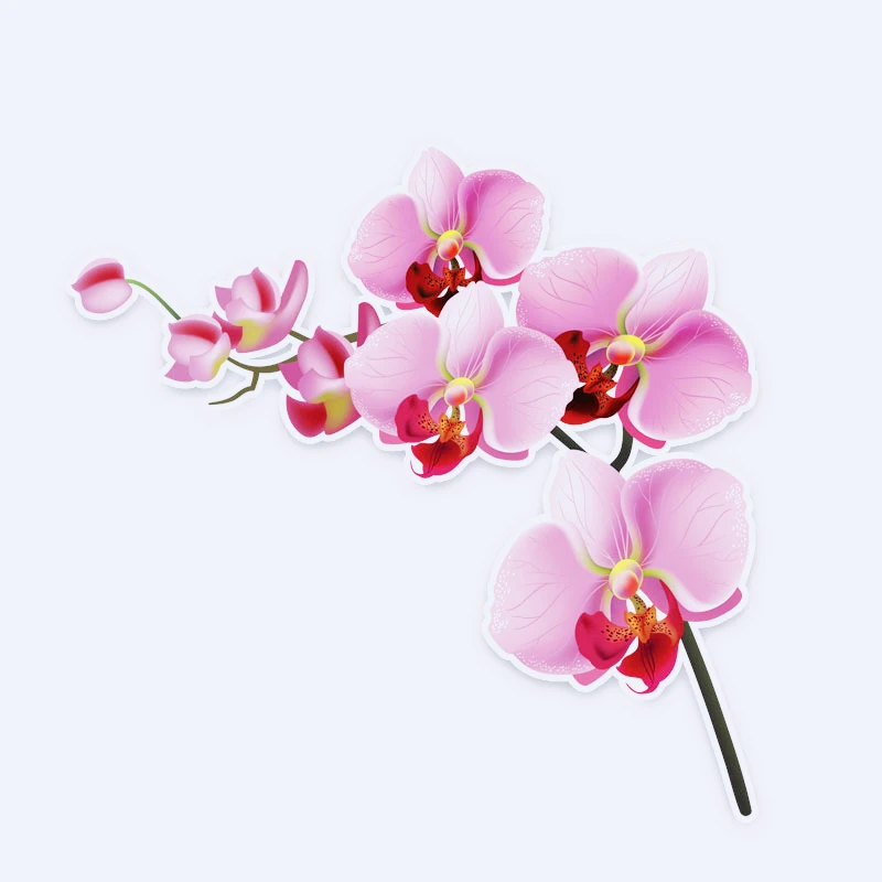 1 piece Interesting Orchid Decor Car Stickers High Quality Personalized Decal Creative Auto Decoration PVC,12cm*12cm,KK