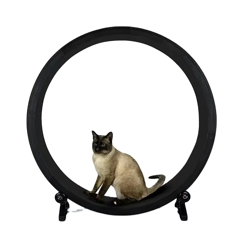 High Quality Running Wheel Silent Household Interactive Pet Tread Exercise Cat Climbing Frame Cat Treadmill