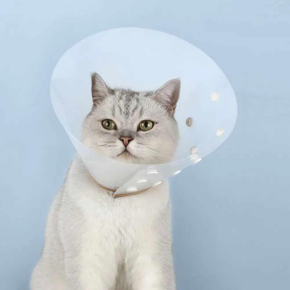 

Transparent Cat Recovery Collar Plastic Adjustable Pet Protective Collar Anti-bite Anti-licking Dog Neck Cone