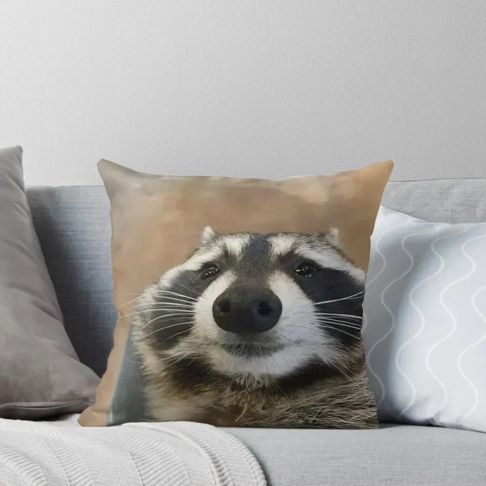 Silly Raccoon Throw Pillow Pillows Aesthetic Cushions For Decorative Sofa Decorative Cushions For Luxury Sofa pillow