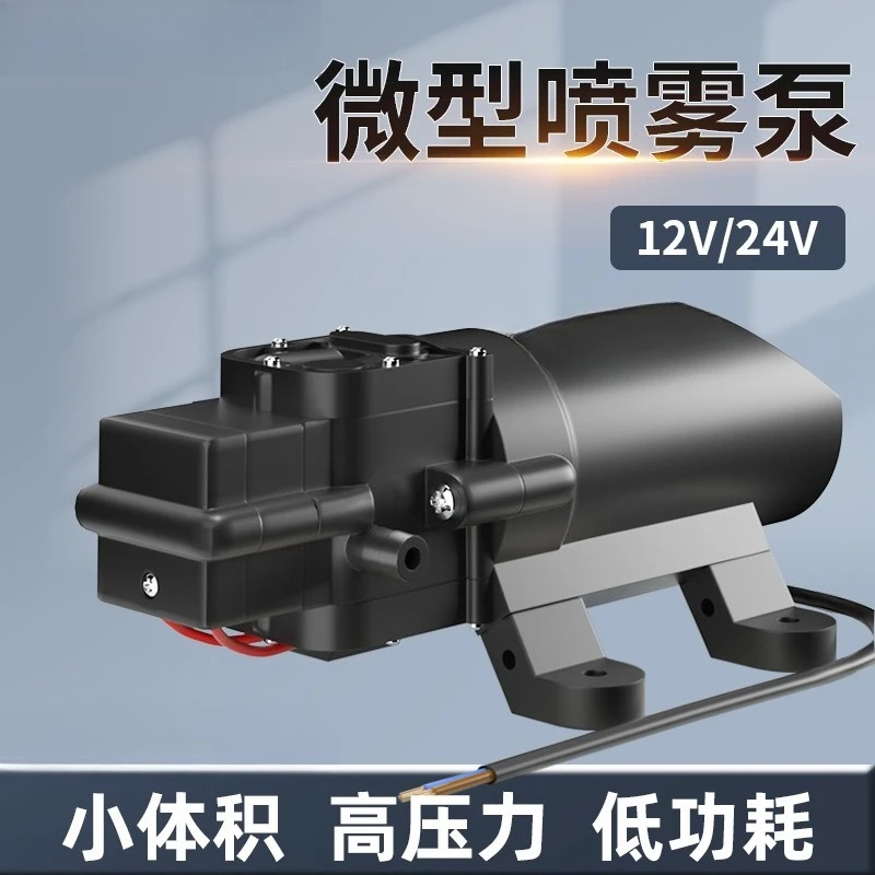 FL-2202A High Pressure Spray Pump Mini Electric Diaphragm Pump Booster Water Pump For Cola Beverage Machine Industrial