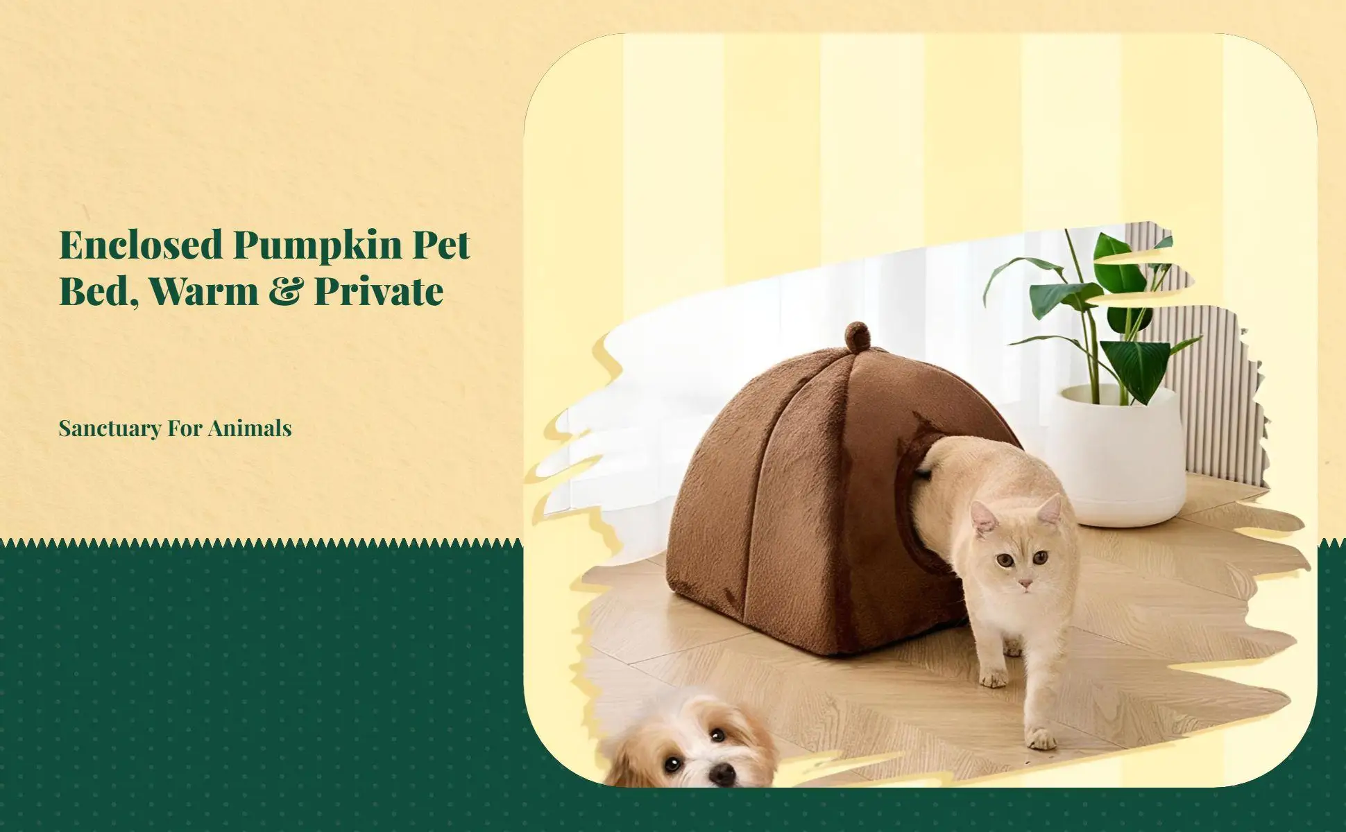 Cozy Pumpkin Cat Bed Arctic Velvet Enclosed Pet Sleeping House for Autumn Winter Comfort