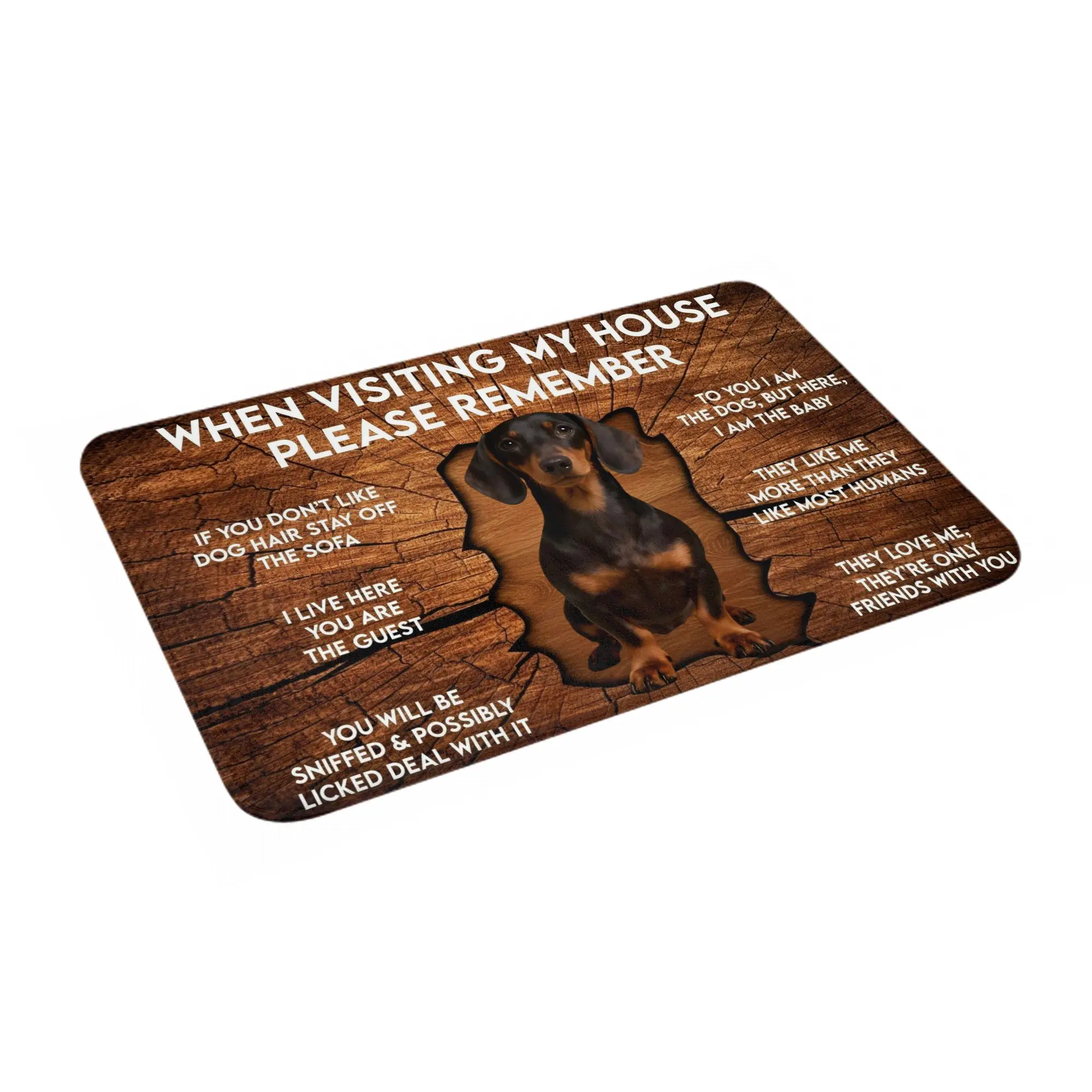 When Visiting My House Please Remember Dachshund Front Door Entrance Mats Outdoor  Bathroom Kitchen Doormat Bedroom Carpet Rug