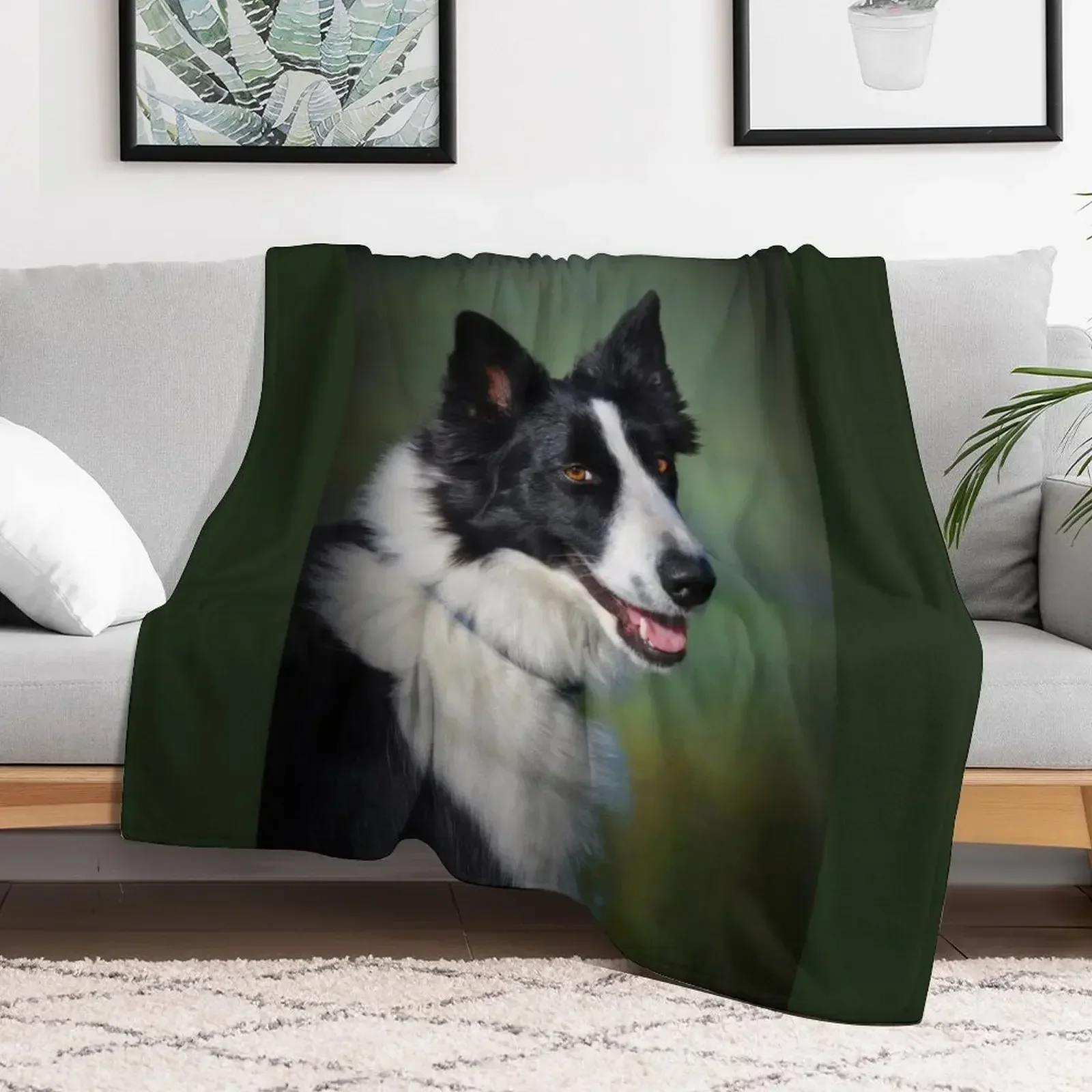 

Border Collie Throw Blanket funny gift Custom Blankets Retros Hairy Blankets