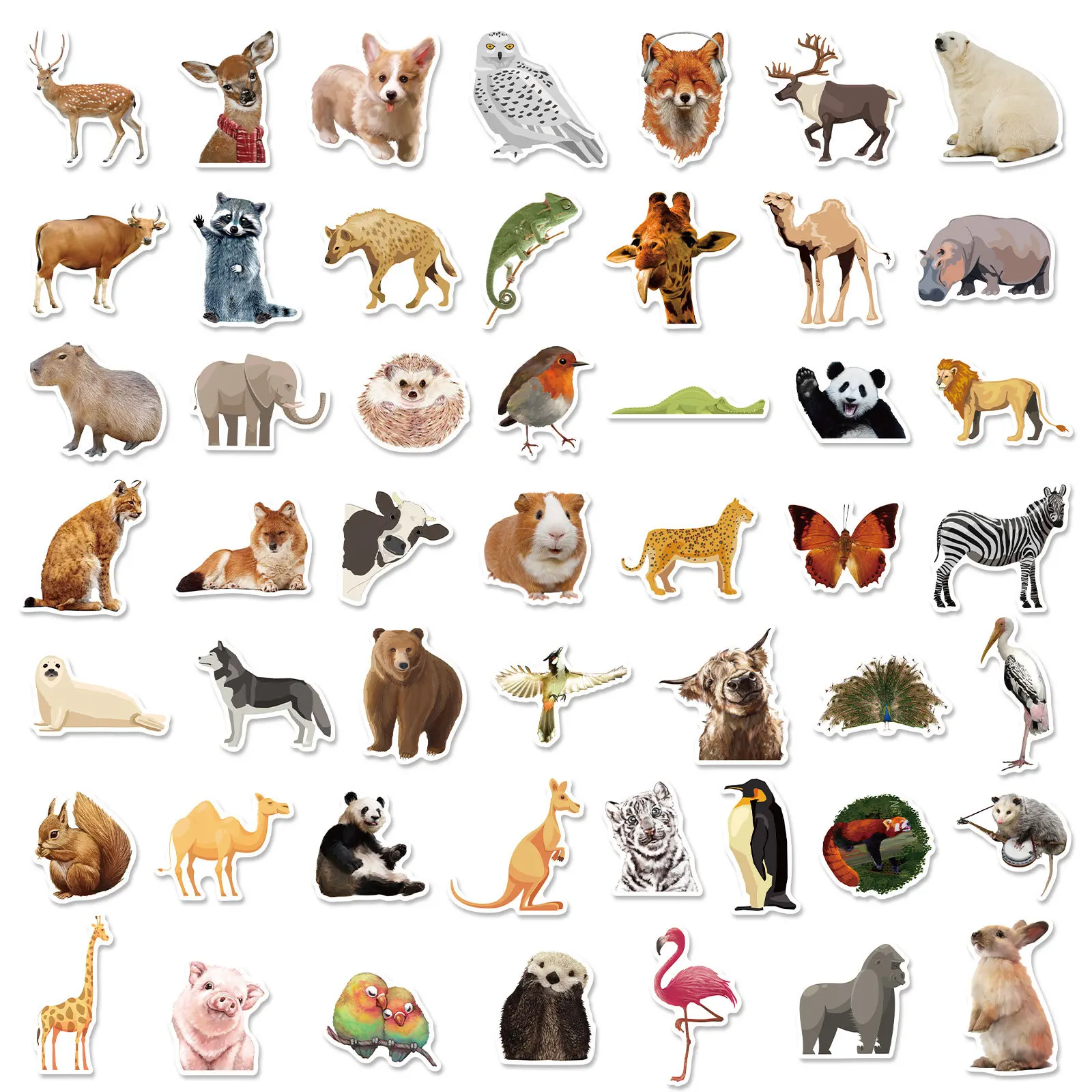 Calcomanías impermeables de animales del zoológico para niños, 50 piezas, calcomanías para monopatín, teléfono, hervidor, ordenador portátil,