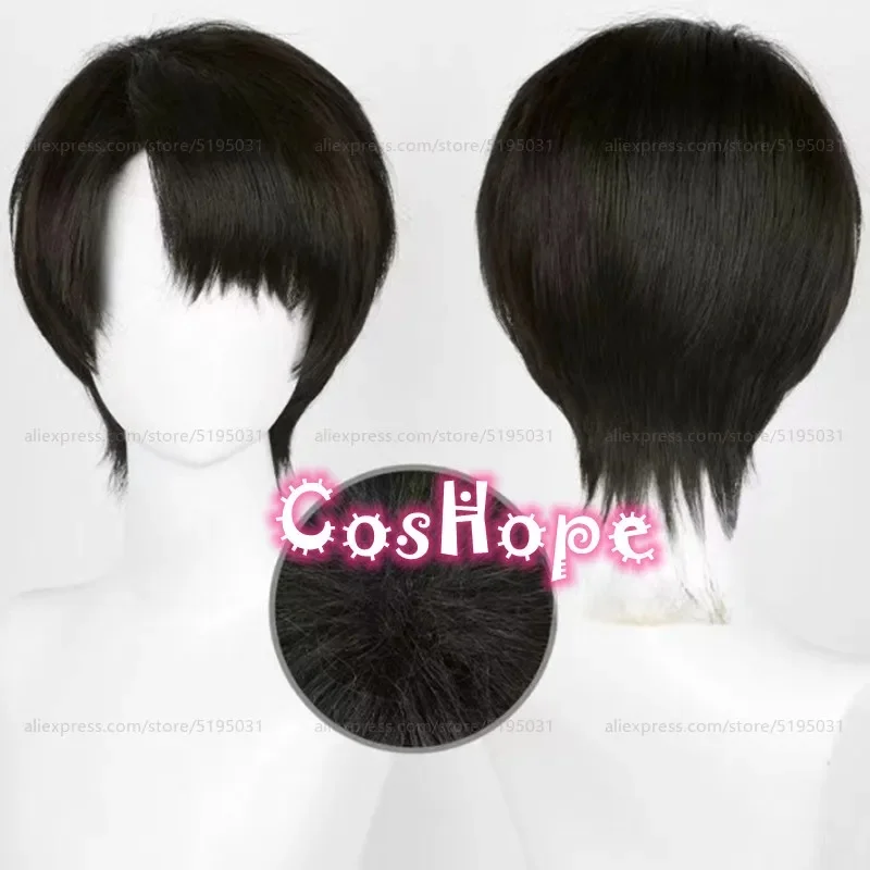 5;c'6,g'8\b/Levi Ackerman Men 30cm Short Black Brown Wig Anime Cosplay Wigs Heat Resistant Synthk;9'r.5\2/s, - view 2