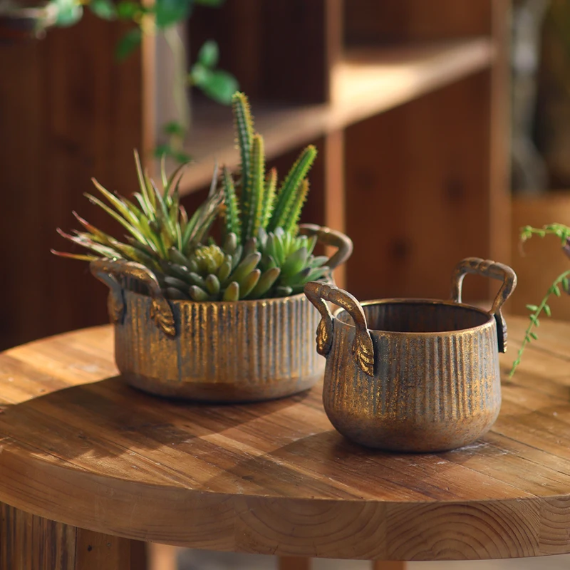 Creative Iron Art Decorative Flower Pots, Balcony Garden Decorative Vases, Unique Decorative Ornaments for Guesthouses, Coffee Table Decorative Flower Pot Set of Two