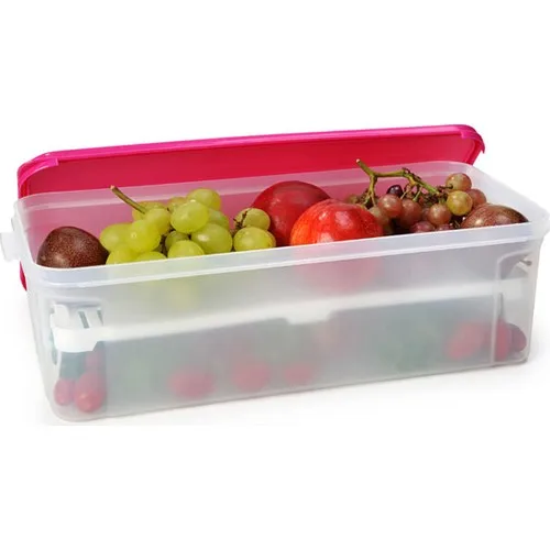 Moonstar Professional Storage Container with Strainer