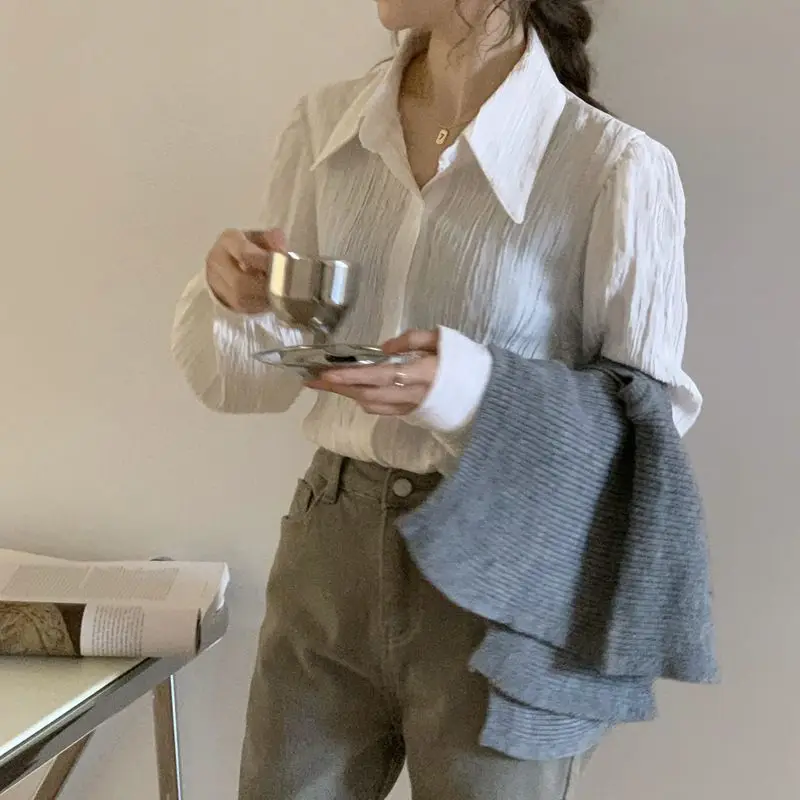 Langarmshirts für Damen, Satin, Button-Down-Blusen, Laternenärmel, gepunktet, plissierter Saum, adrett, feminin, Retro-Französischer Stil