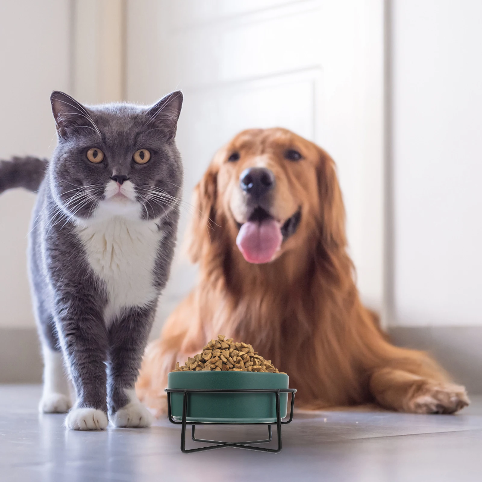 

Cat Bowl Dog Ceramic Pet Food Puppy Feeder Water Supplies Protective Container with Stand