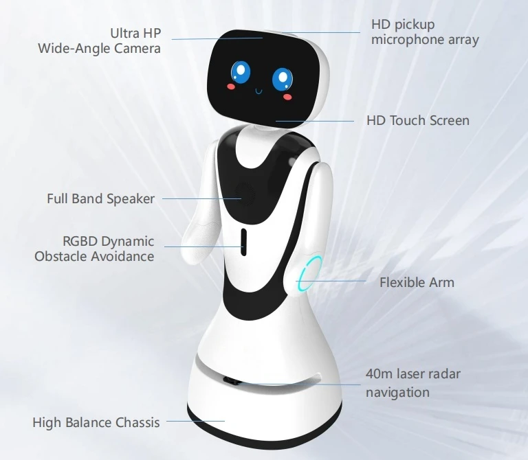 Professional Grade Interactive Reception Entertainment And Guided Tours AI Service Robot Hospital Promoter Robot For Advertising