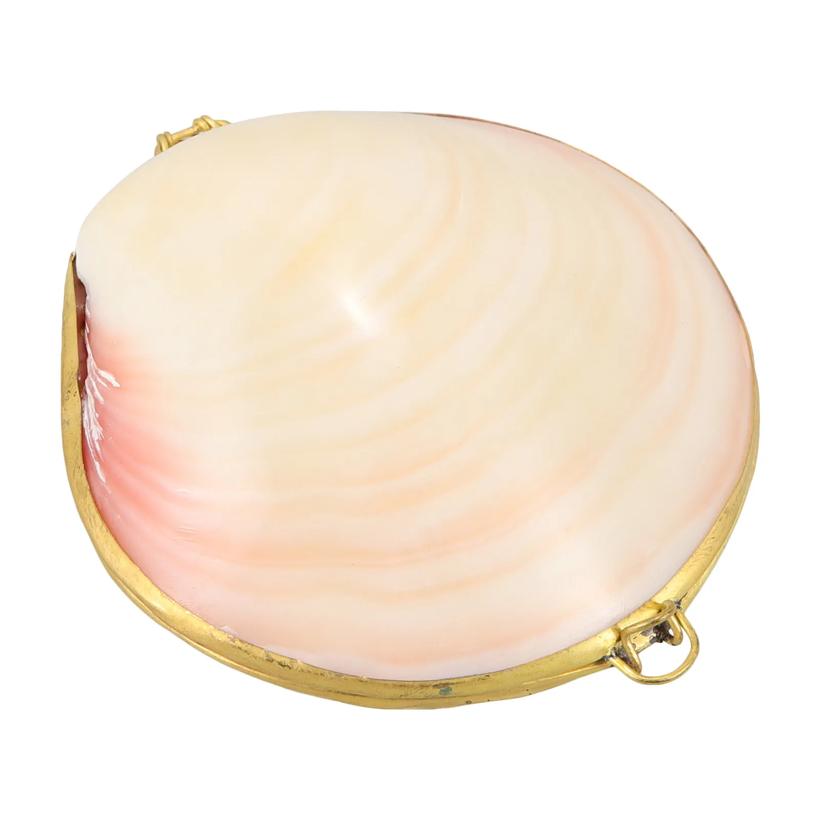 

Shell Jewelry Box Exquisite Shell Shape Storage Box Jewelry Organizer Ring Holder Necklace Case Gift for Women