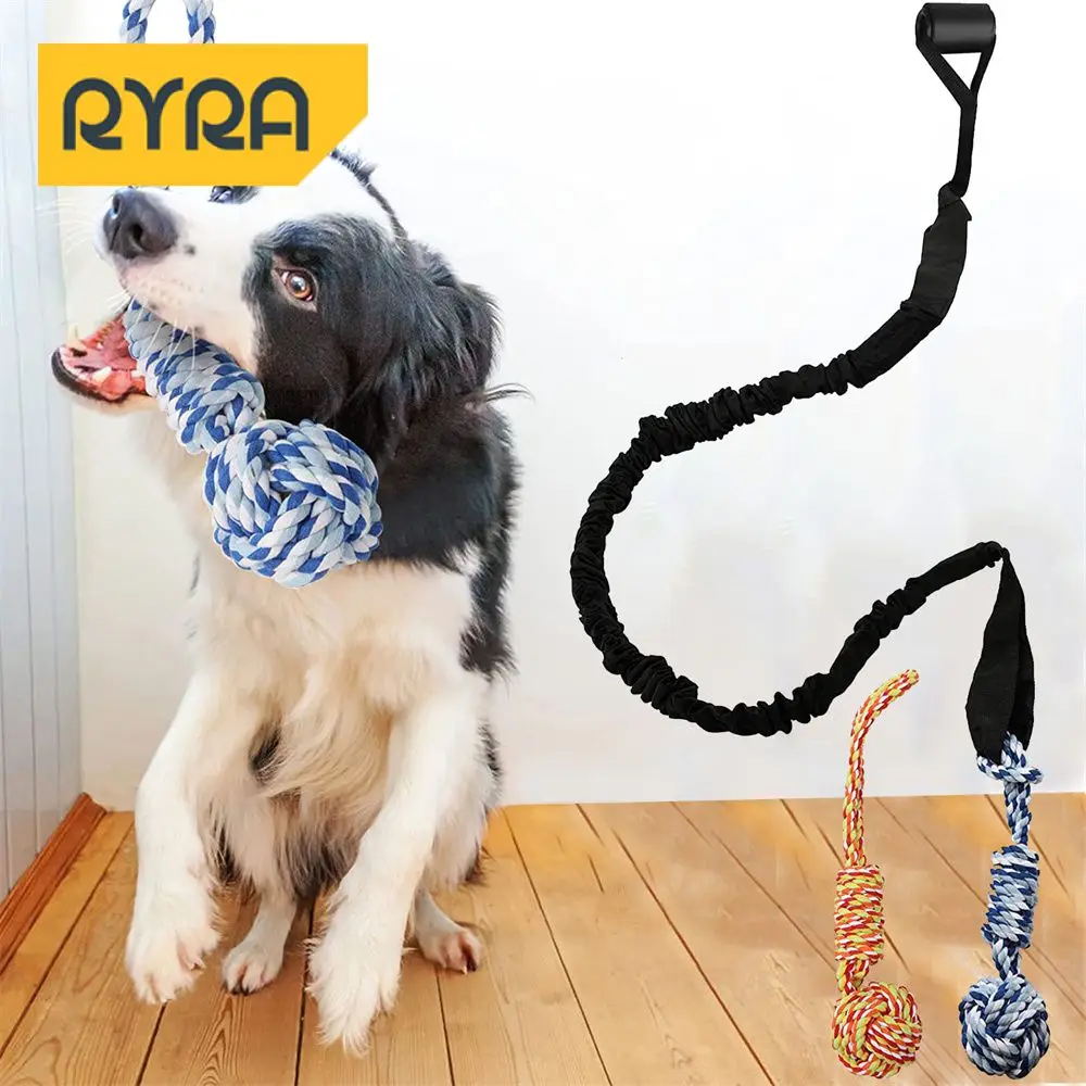 

Pet Toys Durable And Safe Materials Great For Exercise And Fun Time Durable Popular Pet Accessories Colorful Design Sports Toys