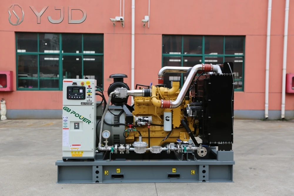 Whole House Backup Generator Natural Gas 32kva Nature Gas Generator 3 Phase 220v with Engine GB3.9-GN Alternator S1L2-K