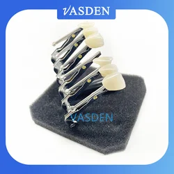 vasden Denture False Teeth Clip Dental Instruments Veneer Porcelain Brush Glazing Handle Temporary Crown Holder Clamps