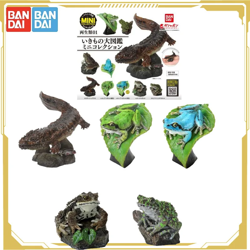 

Bandai оригинальный Gashapon биологический атлас Лерачины дерево лягушка гигантская саламандра экшн-фигурки игрушки для мальчиков и девочек детский подарок
