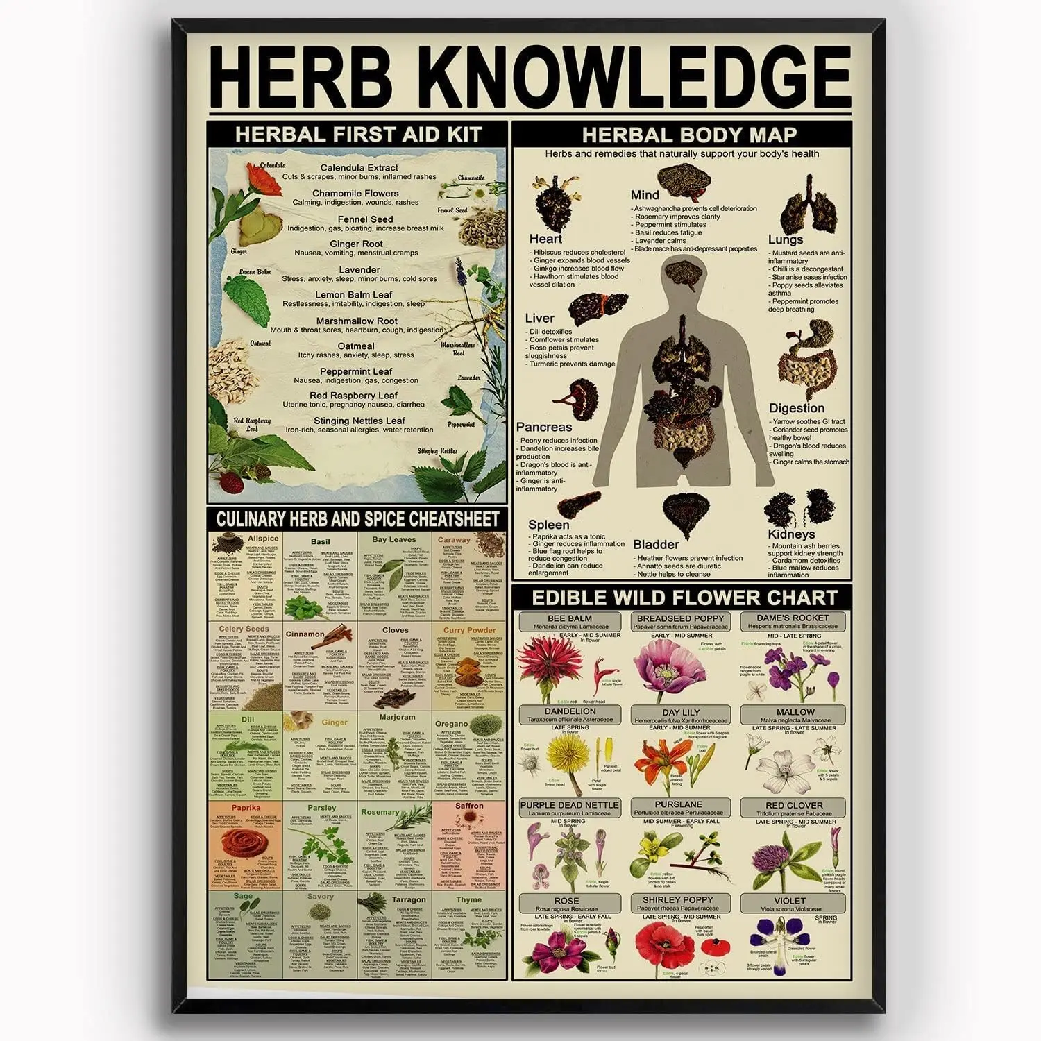 Plaque Murale Métallique Décorative : Connaissance des Herbes, Trousse de Premiers Secours, Infographique, Guide d'Étude pour Pharmacie, Plaque en Aluminium pour la Maison