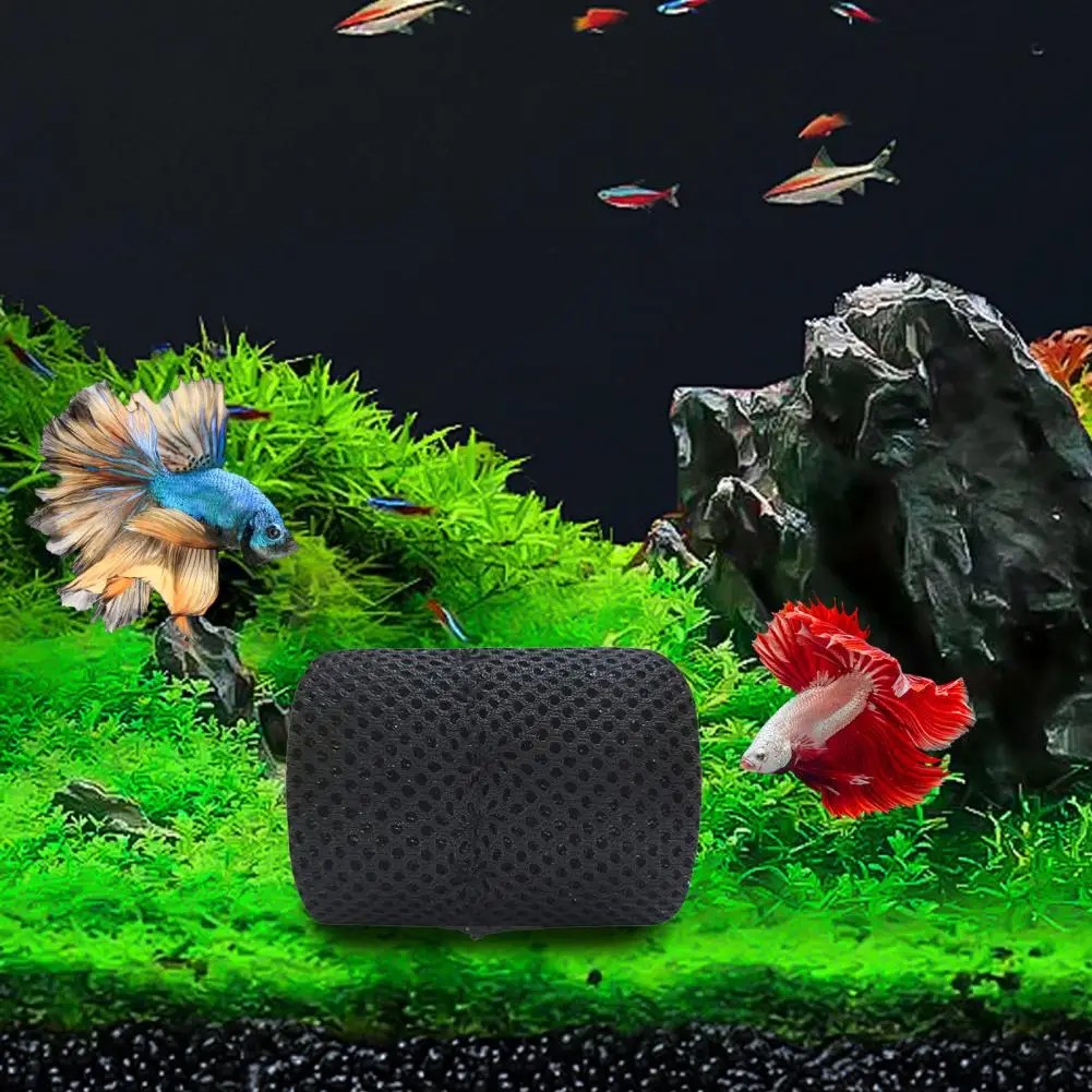 Betta Fish Tunnel Fish Tank Cave with Suction Cup Plastic Betta Tunnel Bed Shrimp Hide Hollow Betta Breeding Cave Aquarium Decor