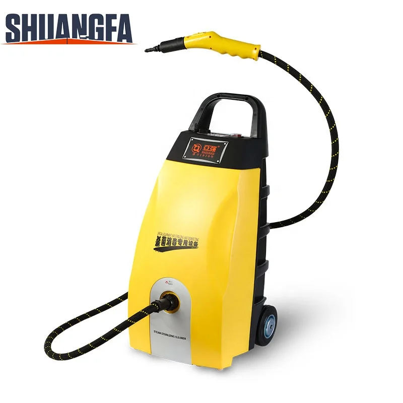 Low Price Commerical High Pressure 5Bar Portable Steam Car Washer for Car Interior Cleaning