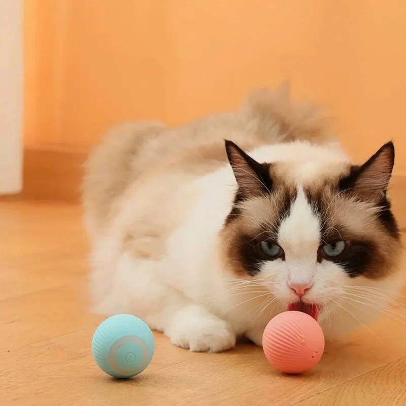 Gravity Intelligent Rolling Ball Cat Toys USB Charging Pet Accessorie Grinding Teeth Resistant To Bite Amuse Pet Toys