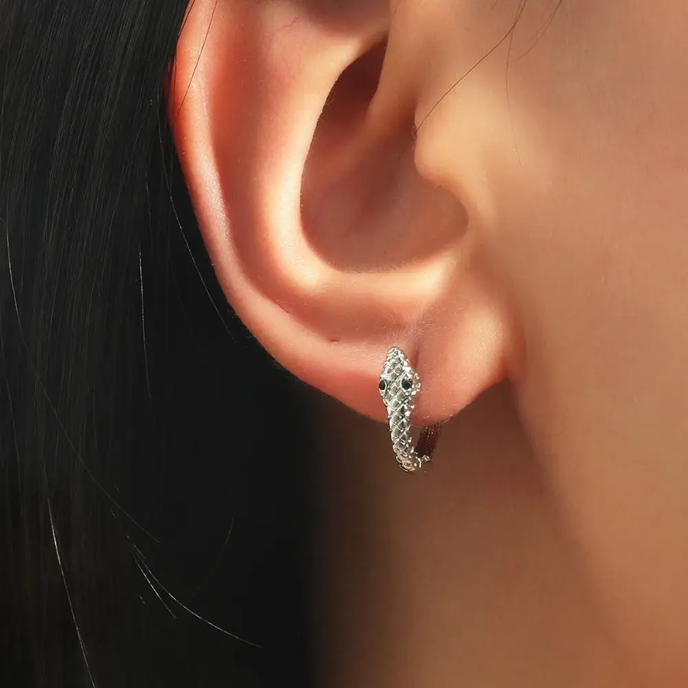 

New Design Stainless Steel Small Hoop Earrings for Women Animal Snake Shaped Gold Color Punk Earrings Party Jewelry