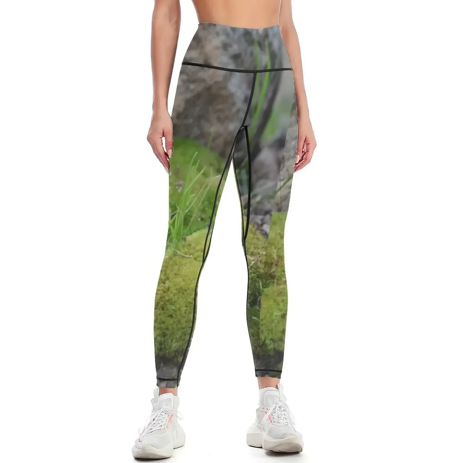 

Springing Leggings gym sportswear woman Sports pants for push up tights for sportswear woman gym 2025 Womens Leggings