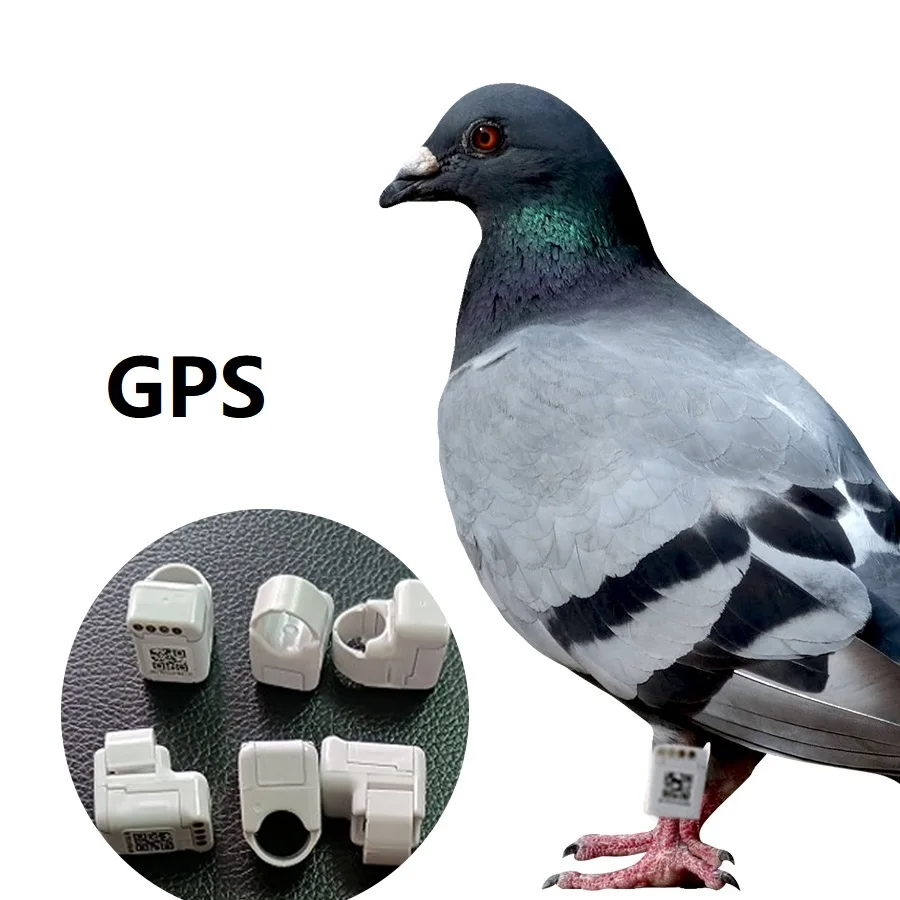 The New Listing Repeller Repellent Device Racing Clocks for Sale Bricon Birds Wholesale Ebay Vr 1 Electronic Pigeon Rings