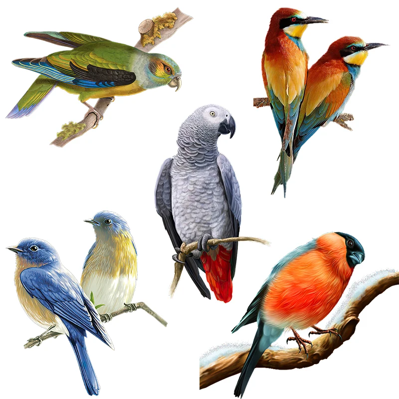 Three Ratels QCF147 Colorful Bird Art Sticker Room Decoration Electrical Scratches Cover Electric Meter Box Toilet Cover Decora