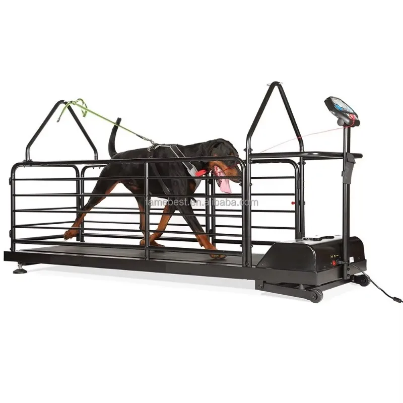 

Dog Pet Treadmill Dog Running Training Machine with LCD Indoor Treadmill Pet Sports Toy
