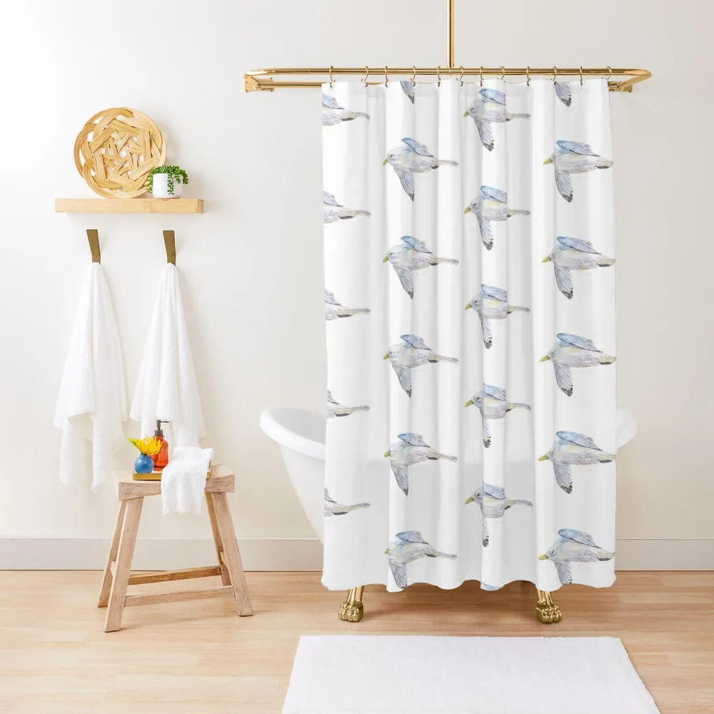 

Seagull from Schull. Gull in flight. Original Irish Painting Shower Curtain Cover In The Bathroom Bathroom Showers Curtain
